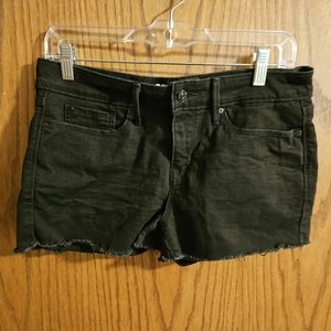 Denizen Levi Shorts